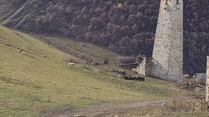 ИНГУШЕТИЯ, Башни ЭРЗИ: Башенный комплекс, старинные башни, останки цивилизации из прошлых веков