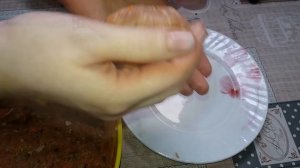 Как Приготовить СОЧНЫЕ Рыбные КОТЛЕТЫ из карпа. Кулинарные Секреты Приготовления Котлет