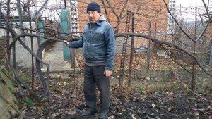 @Виноград лоза О посадке винограда на старое место