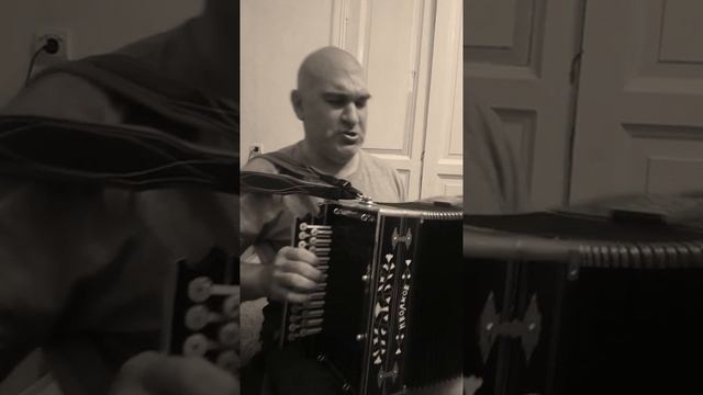 Думы окаянные!!! Русский городской романс под Нижегородскую Гармонь. М.Волкова.