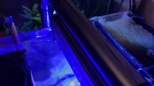 Самодельный LED светильник для морского аквариума.