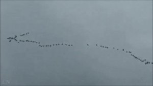 Лёха (Елена Савельева) - Снег первый