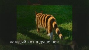 Фотографии, которые обманут ваши глаза