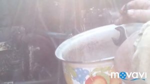 Как правильно менять масло на МТЗ 80.