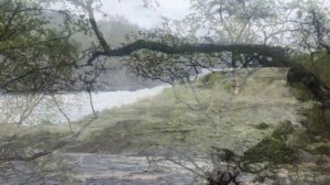 Западная Лица, Мурманская область