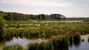 RUSSIAN NATURE / РУССКАЯ ПРИРОДА!!!