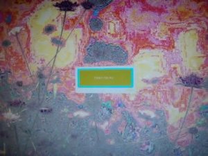 Глюки монитора Asus MW221C