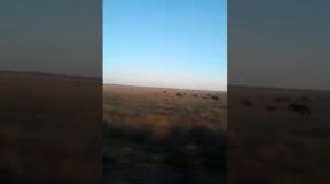 Дорога в забытое богом село Бекетовка -моя родина!!!