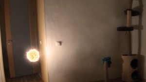 Шаровая молния залетела в квартиру --- Ball lightning flew into the apartment