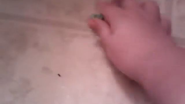 My shop kin adventures episode   2.  ;)