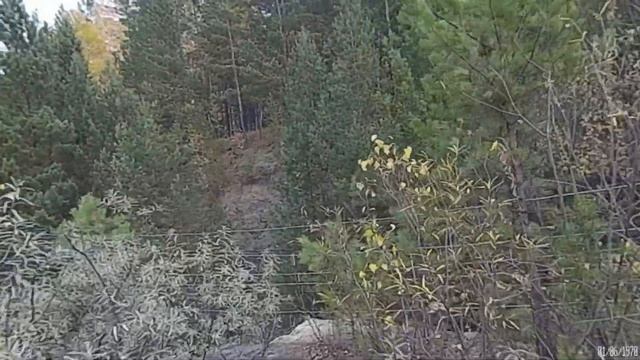 Водокачка. 2, 3, 4 этаж. СРАБОТАЛА СИГНАЛИЗАЦИЯ(Hera_flower) смотреть онлайн