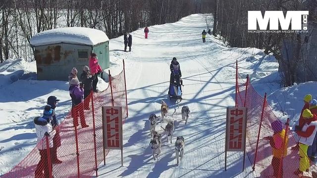 Сибирский клондайк Гонки на собачьей упряжке Междуреченск 2022.mp4