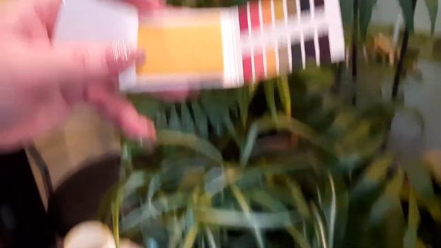 удобрение для цветов ? и опрыскивания смотреть онлайн