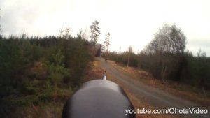 Охота с вышки на лося осенью видео онлайн 2012-2013 Moose hunting in Russia.