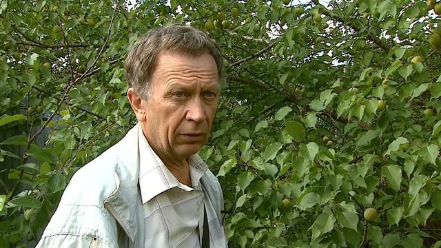 Абрикосы Вишня Слива смотреть онлайн