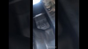 УРАЛ НЕКСТ ДВИГАТЕЛЬ 536 антифриз в поддоне причина !!!!