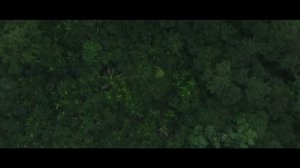 Современные колонии Франции