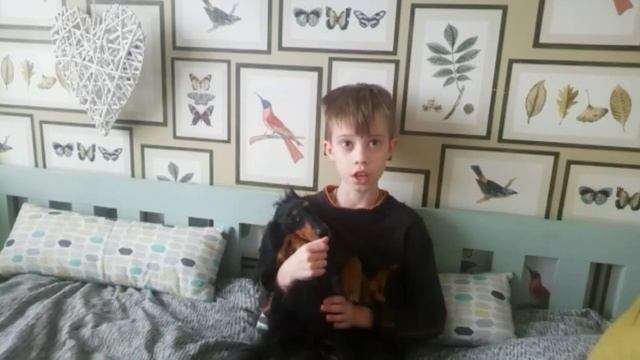 Все мои домашние животные рассказ. смотреть онлайн