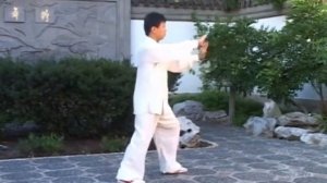 108 Форма Тайцзицюань стиля Ян