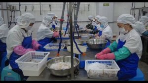 How loligo squid process in factory - Longhai Oriland Seafood Co., Ltd