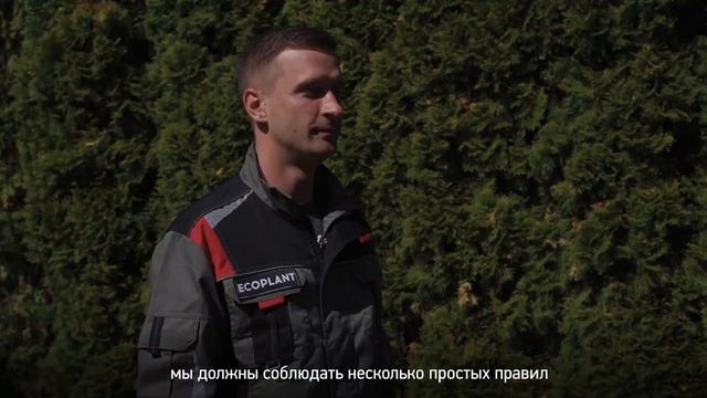 ? ЖИВАЯ ИЗГОРОДЬ из ТУИ. 3 ПРАВИЛА СТРИЖКИ живой изгороди