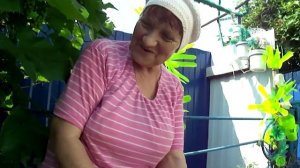 Урожай черной смородины! Огромная черная смородина! Тля!