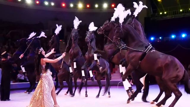 Домашние Животные: Лошадиный день 1 августа весь день смотреть онлайн