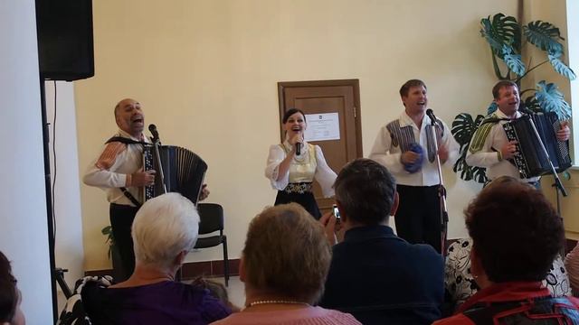 Рок-н-ролл уже мертв, а гармонь ещё нет!!!! Играй гармонь!!!!!!! Ночка тёмная!!! смотреть онлайн