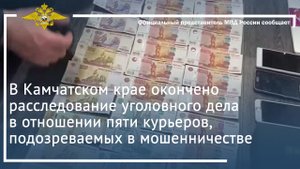 Окончено расследование дела в отношении пяти курьеров, подозреваемых в мошенничестве