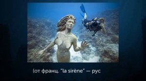 Русалки: Правда и Вымысел
