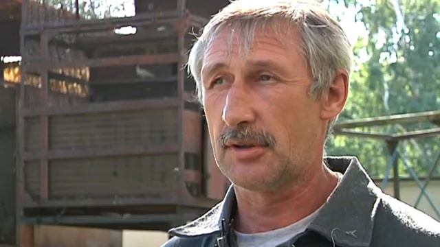 Голубятня. Сюжет. смотреть онлайн