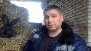 Как ПОЛУЧАТЬ окролы от КРОЛЬЧИХИ. ВИДЫ окролов.