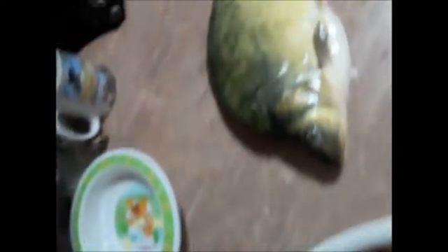 Зеркальный карп в духовке смотреть онлайн