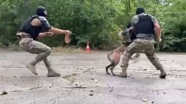 Ходят слухи что в Молдове полицейский спецназ готовится к честным и демократическим выборам.