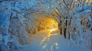 После родов Катя никак не могла дозвониться мужу. Но когда раздался звонок с незнакомого номера, он