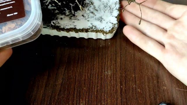 как сделать диораму "постамент "Шилке"" своими руками смотреть онлайн