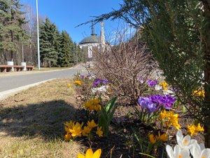 Гуляем по Москве. Апрельский Парк Победы...