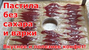 Рецепт домашней живой пастилы без сахара и варки в сушилке-дегидраторе Oberhof Fruchttrockner A-15