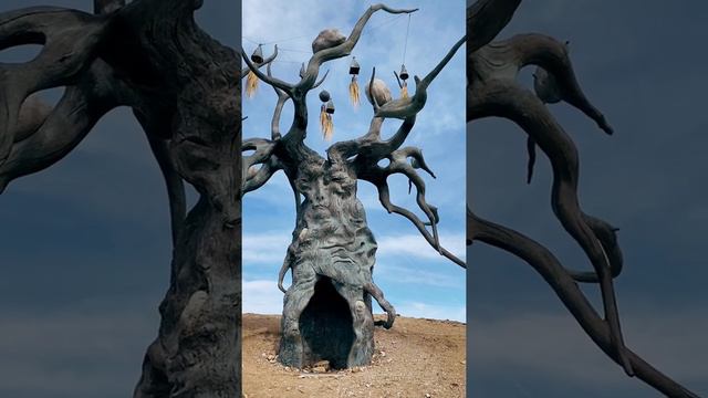 Дерево с лицом,не обычное,сухое,многие увидят в первые.Качественная женская одежда ссылка в описани