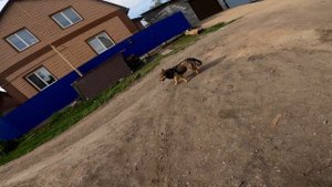 Малокубатурный мотоцикл для рыбалки