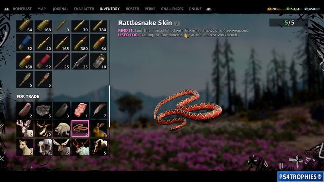 Far Cry New Dawn - Animals, Monstrous Animals & Fishing Locations (Master Skinner & You're a Catch) смотреть онлайн