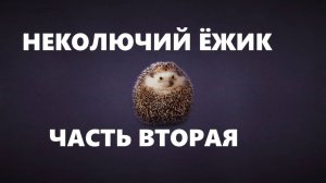 Вязаный ёжик,часть 2.Игрушки.(сентябрь 2024г)