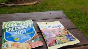 Неприятности в саду: МОНИЛИОЗ войлочной вишни. Как бороться.