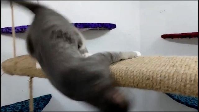 Кто такие 