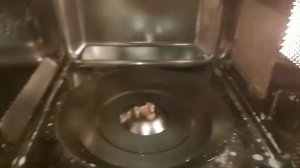 Рыба уделала микроволновку. Не повторяйте это с рыбой в микроволновке. Что нельзя  в микроволновке.