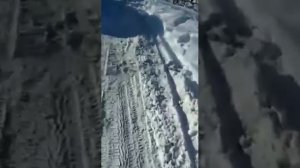 Гроб с покойником выкопали на калужском кладбище