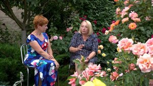 Передача о моем саде