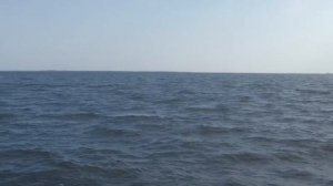 Путешествие на мотолодке Сарепта (Часть 2)