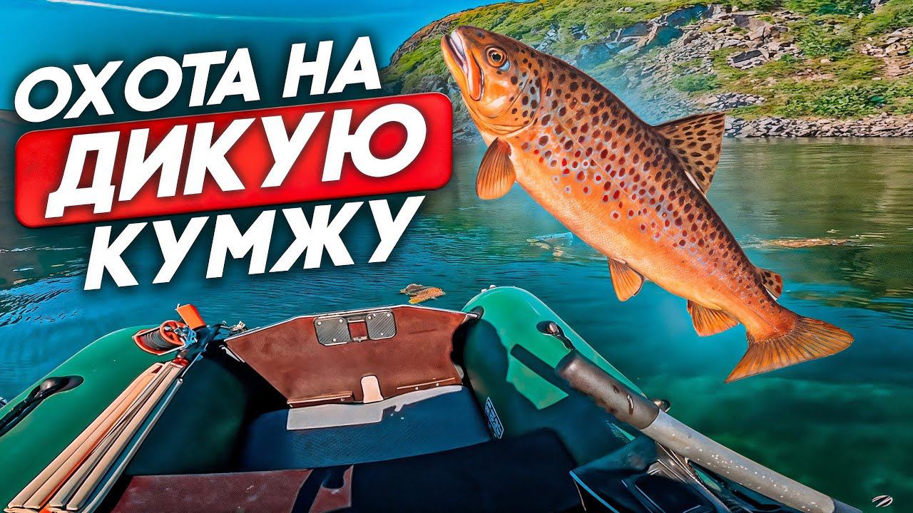 охота на дикую кумжу