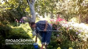 Плодосборник с телескопической штангой